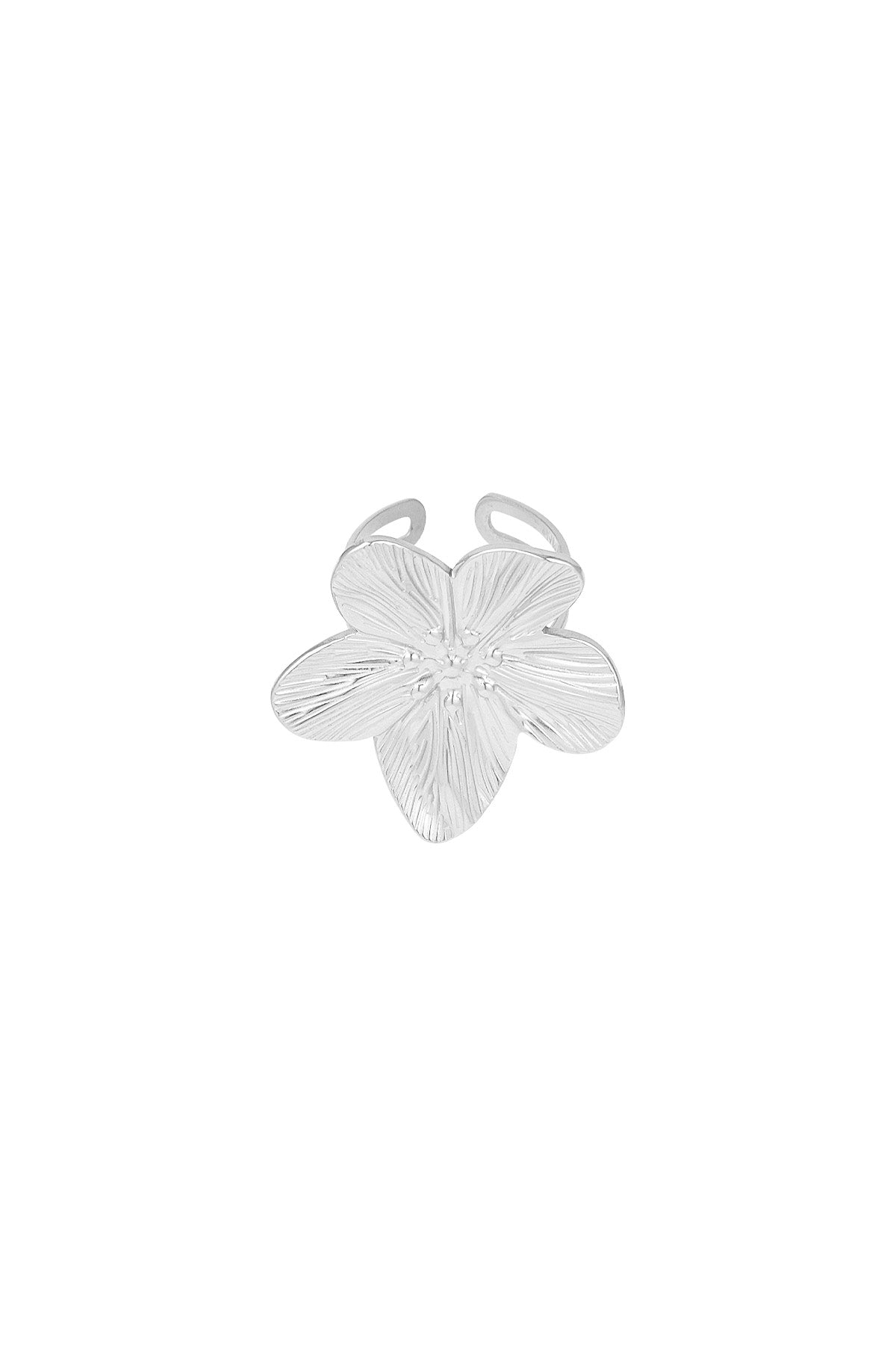 Petal Bloom